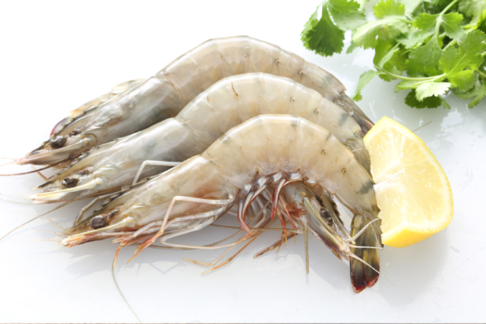 Seafood and Meat Processing Ingredients