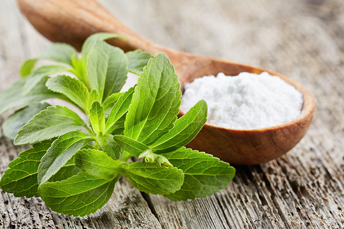 Stevia and Zero Calorie Sugar Replacement Ingredients