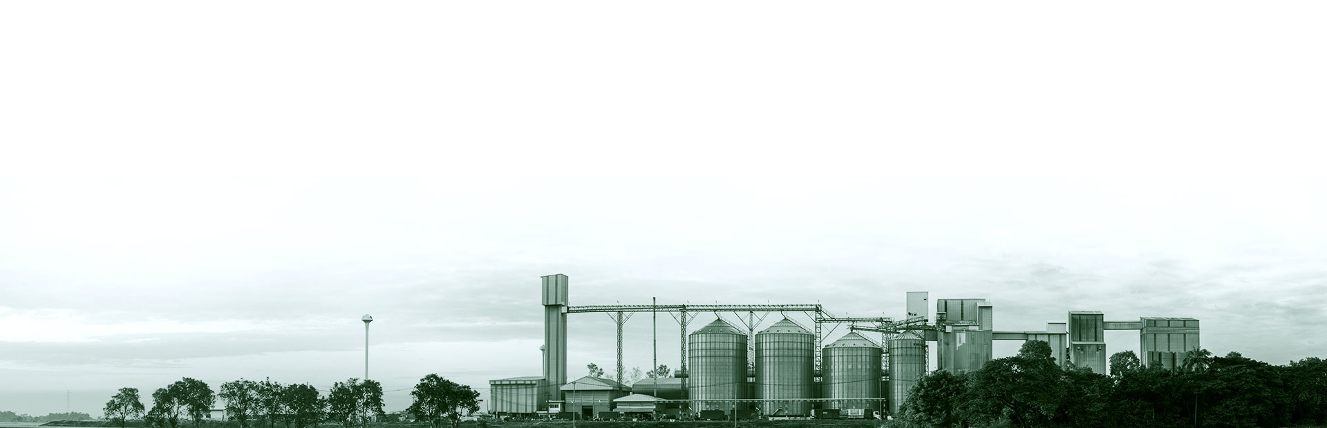NCC Food Ingredients Quality Assurance & Compliance - Meat Processing Ingredients